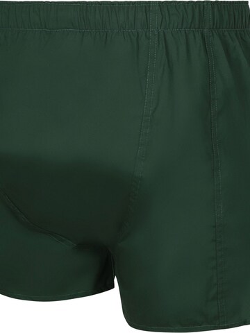 Boxers Steppin' out en vert