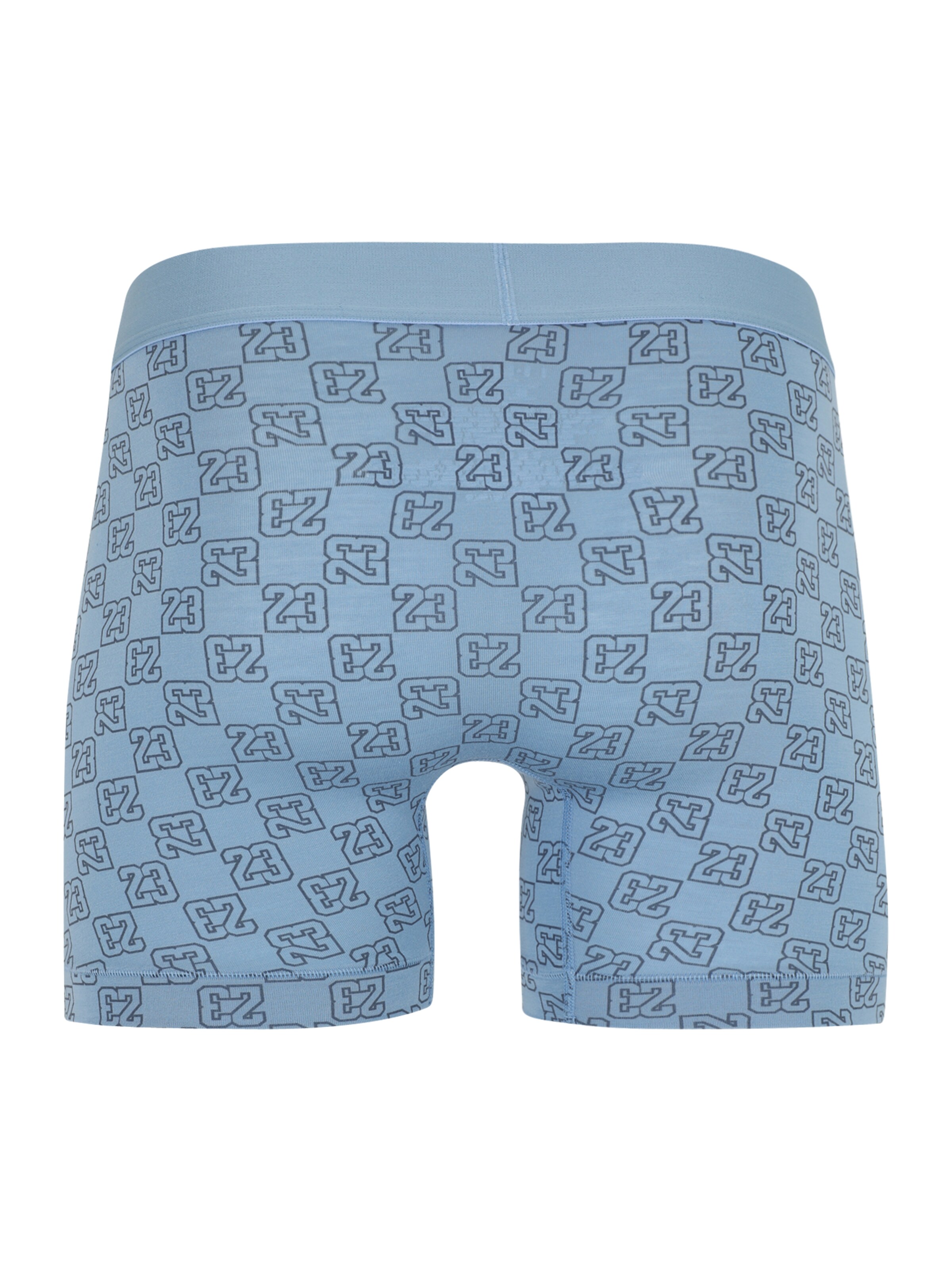 Jordan Boxer shorts in Blue