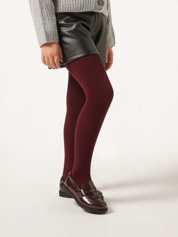 CALZEDONIA Tights in Red: front