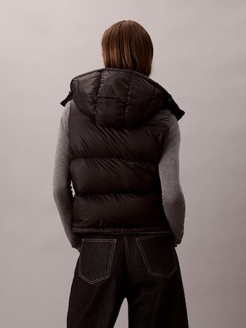 Calvin Klein JeansPrsluk 'ESSENTIAL' - crna boja