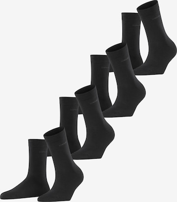 ESPRIT Socken 'Solid 4-Pack' in Schwarz: Vorderseite