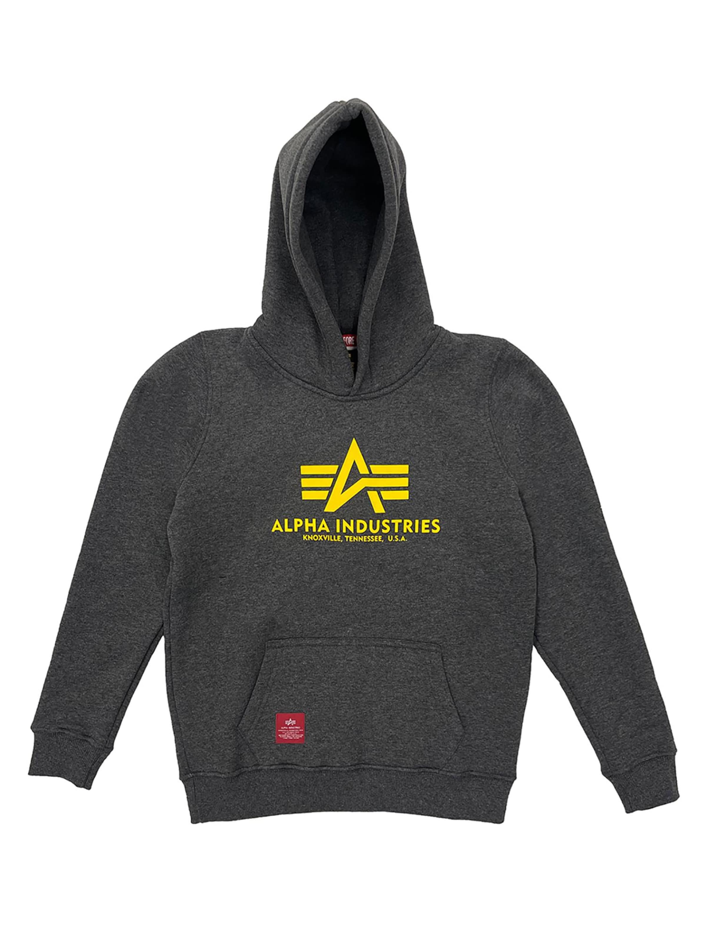 ALPHA INDUSTRIES Sweatshirt 'Basic' in Grey: front