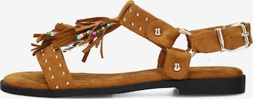 POSH by Poelman Strap sandal 'NATALIA ' in Brown: front