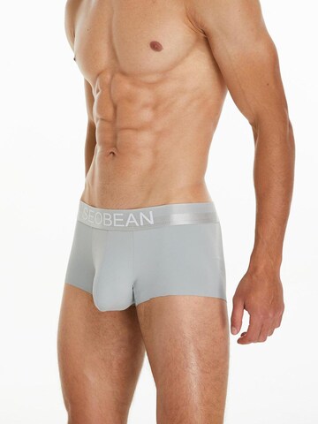 SEOBEAN Boxershorts 'Classic' in Grau