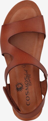 COSMOS COMFORT Sandalen met riem in Bruin