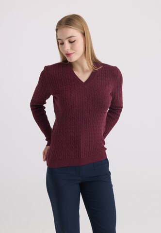Felix Hardy Sweter w kolorze czerwony