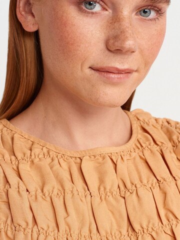 Dilvin Top in Brown