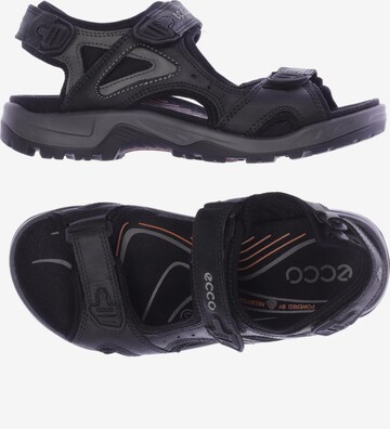 ECCO Sandalen 40 in Schwarz: predná strana