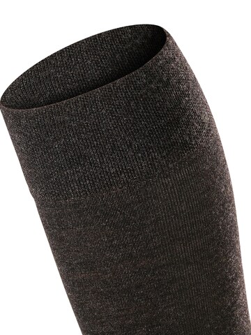 FALKE Over the Knee Socks 'Sensitive Berlin' in Grey