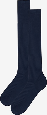 CALZEDONIA Socks in Blue: front