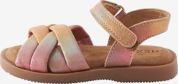 Next - Sandalias en rosa: frente