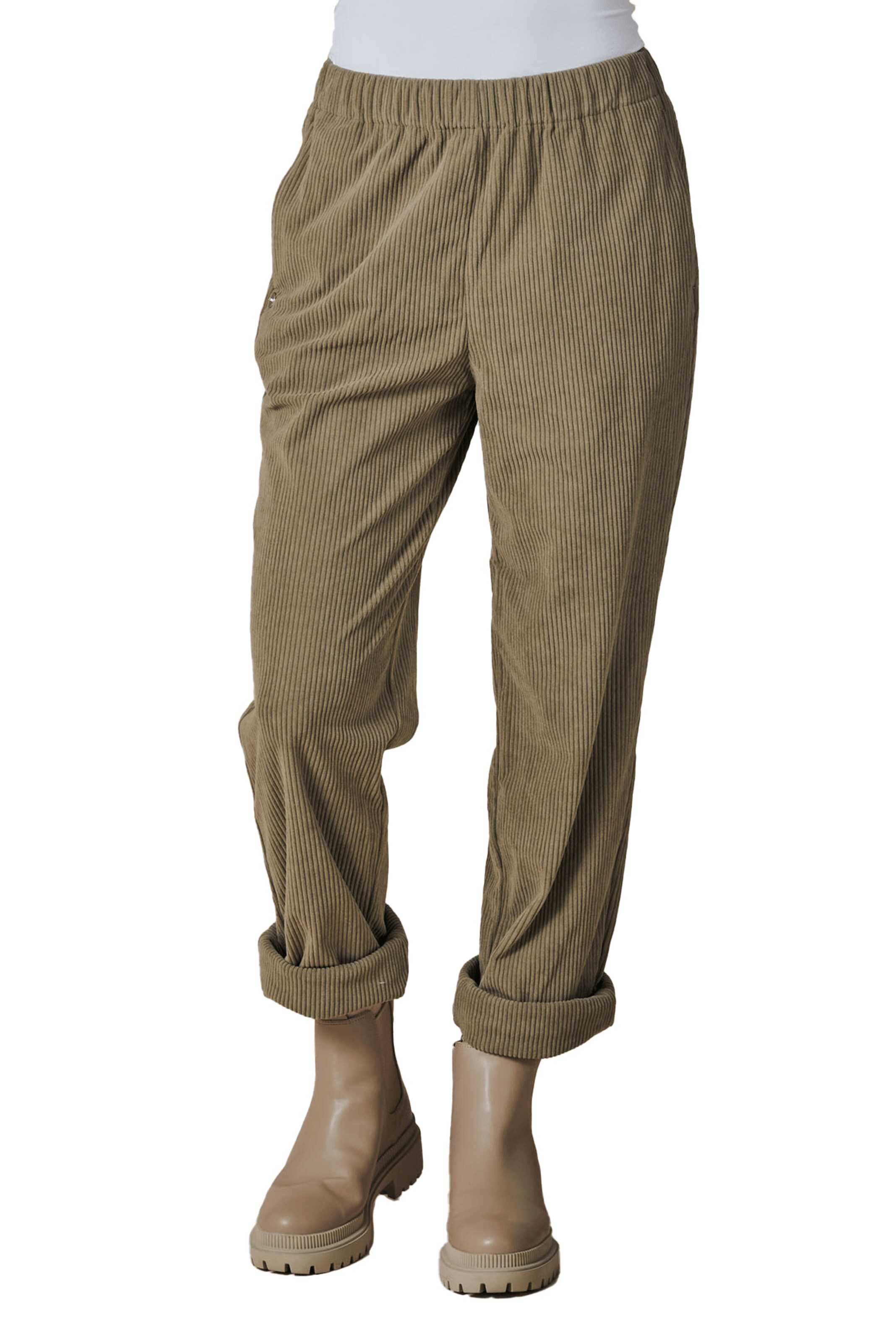 Zhrill Regular Pants in Brown: front