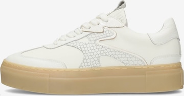 PS Poelman Sneakers laag in Wit: voorkant