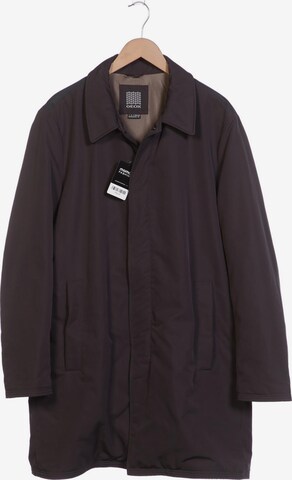 GEOX Jacket & Coat in XXL in Grey: front