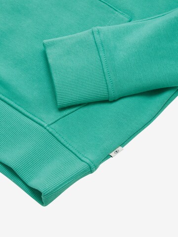 TOM TAILOR Sweatshirt in Green