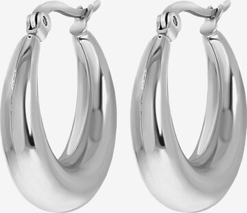 Lucardi Earrings in Silver: front