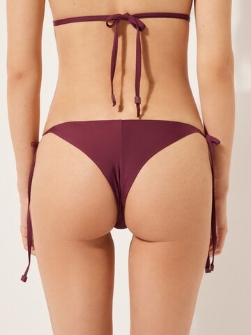 CALZEDONIA Bikinihose 'Indonesia' in Rot