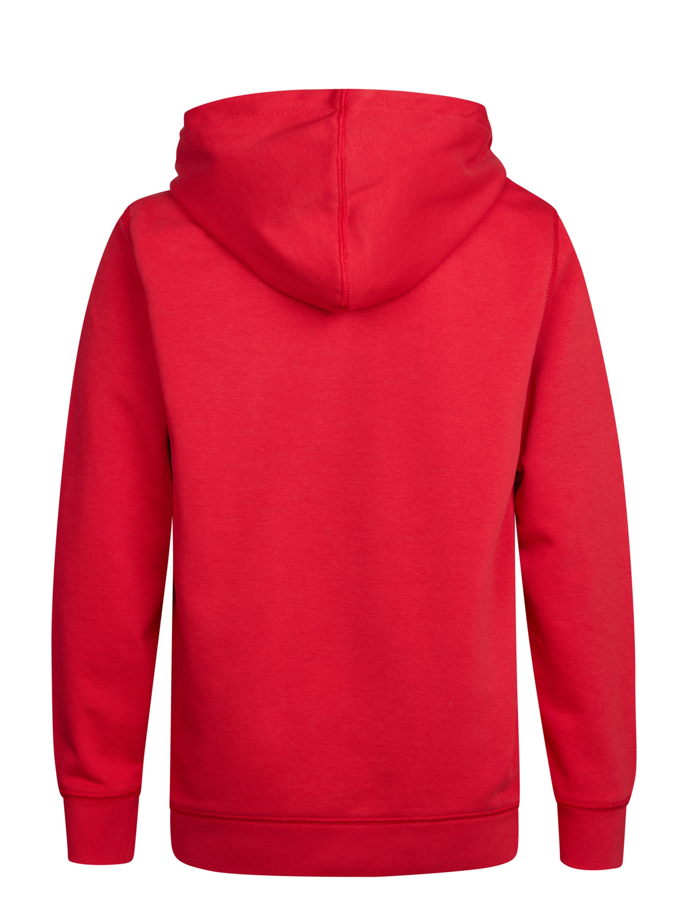 Petrol Industries Sweatshirt 'Wenatchee' in Red