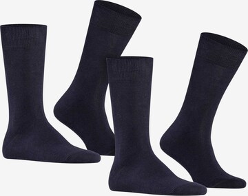 FALKE Socks in Blue