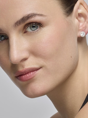 Luxenter Earrings 'Shog' in Silver