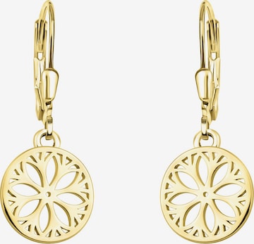 Sofia Milani Ohrringe 'Flower Circle' in Gold: Vorderseite