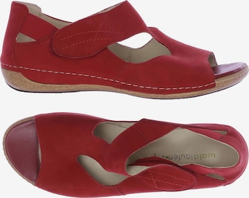 WALDLÄUFER Sandals & High-Heeled Sandals in 43 in Red: front