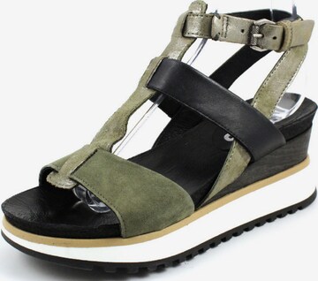 MJUS Sandals in Green: front