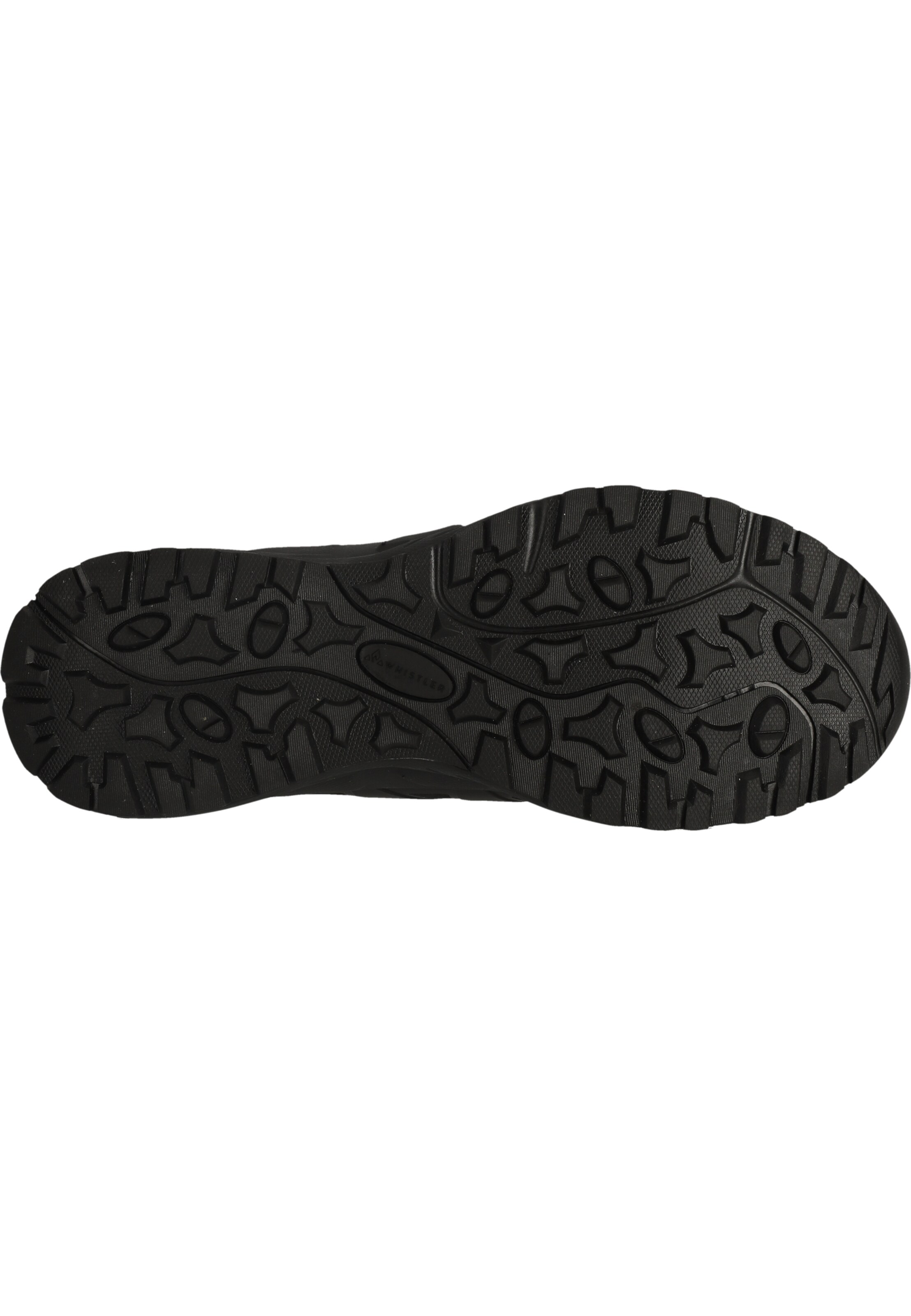 Whistler Wanderschuhe 'Cardiff' in Schwarz