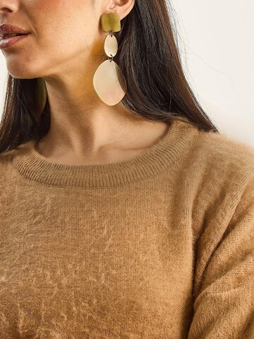 Pullover di Bianco Lucci in marrone