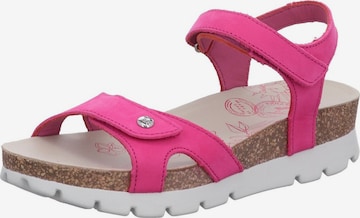 Sandalo 'Sandalette Damen Sulia B9 Echtleder in rot' di PANAMA JACK in rosso: frontale