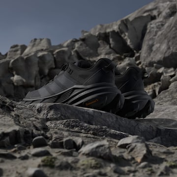 Chaussure basse 'Freehiker SL' ADIDAS TERREX en noir