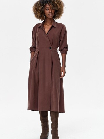Blue Shadow Dress in Brown