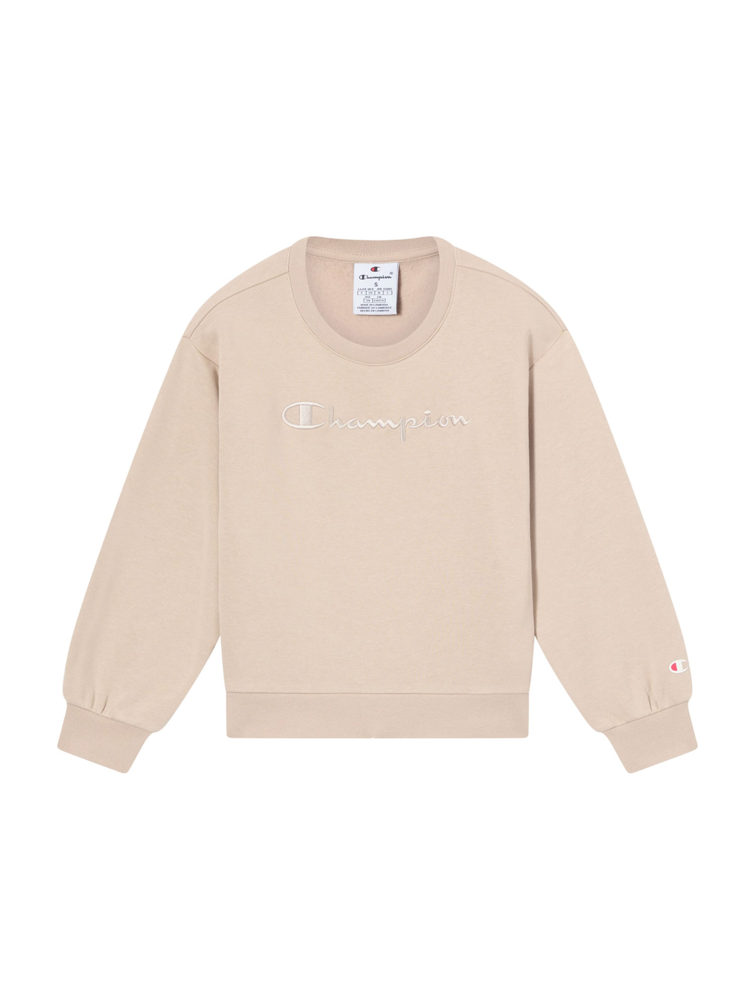 brūns Champion Authentic Athletic Apparel Sportisks džemperis: no priekšpuses