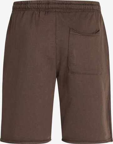 Redefined Rebel Regular Shorts 'Fresh' in Braun