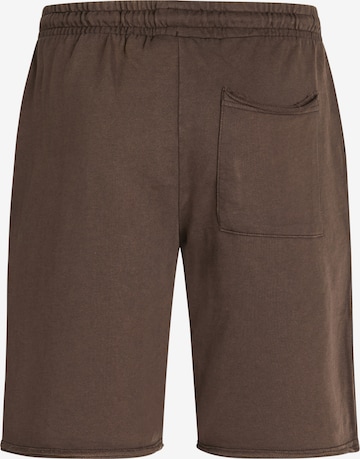 regular Pantaloni 'Fresh' di Redefined Rebel in marrone