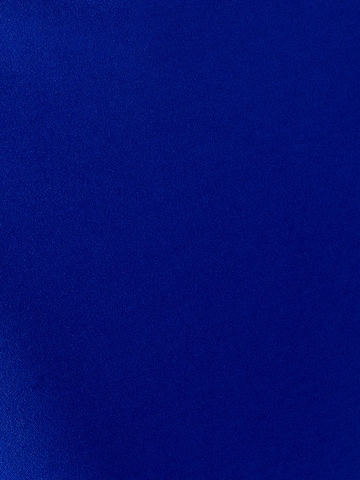 BWLDR Платье 'Boston' в Синий