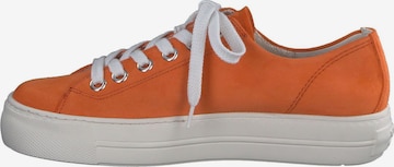 Baskets basses Paul Green en orange