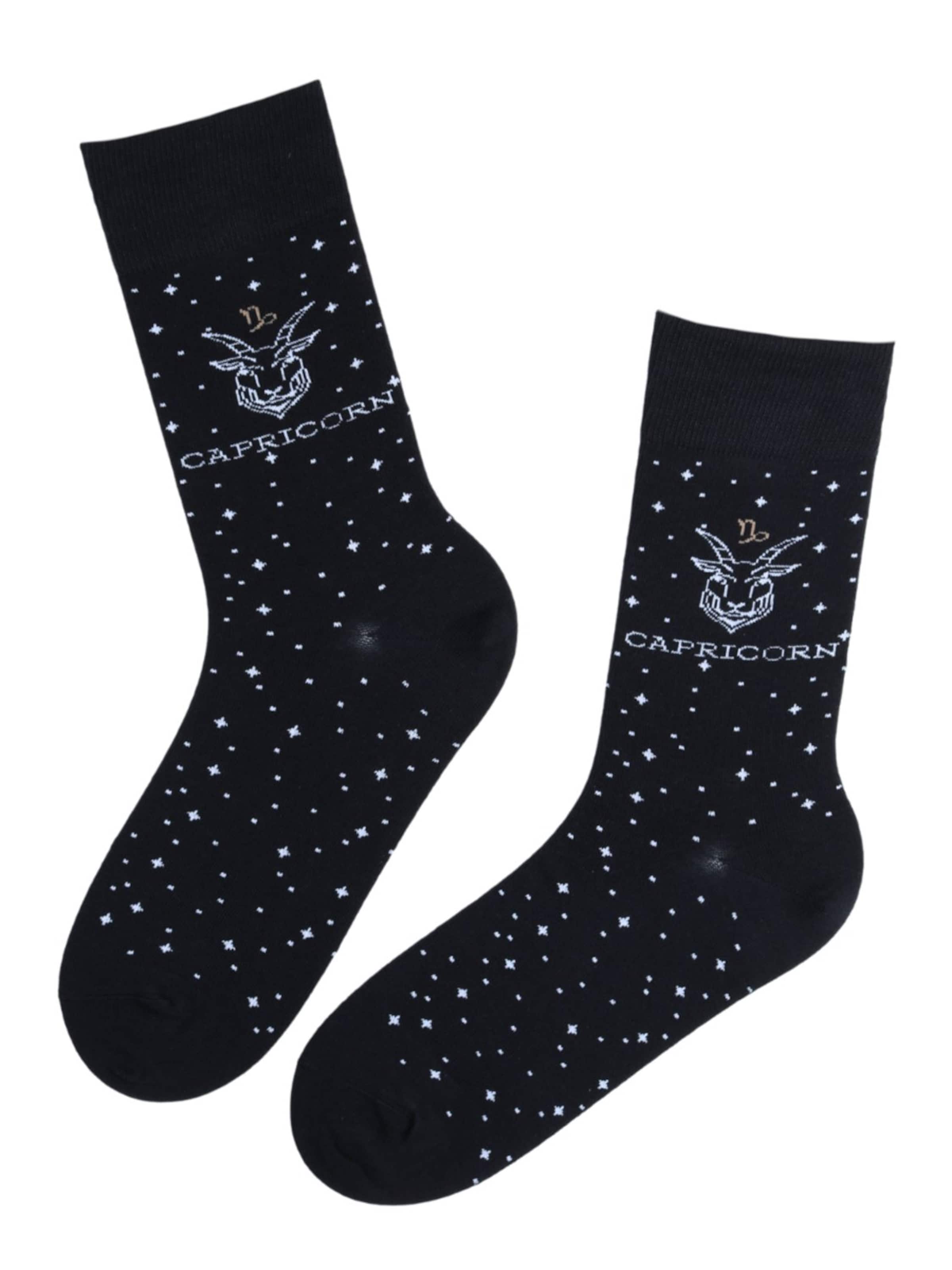 Sokisahtel Socks 'CAPRICORN' in Mixed colours: front