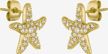 NOELANI Earrings in Gold: front