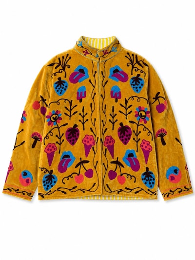ASHINDIA Between-Season Jacket 'Susi' in S-L in Mixed colors, Item view