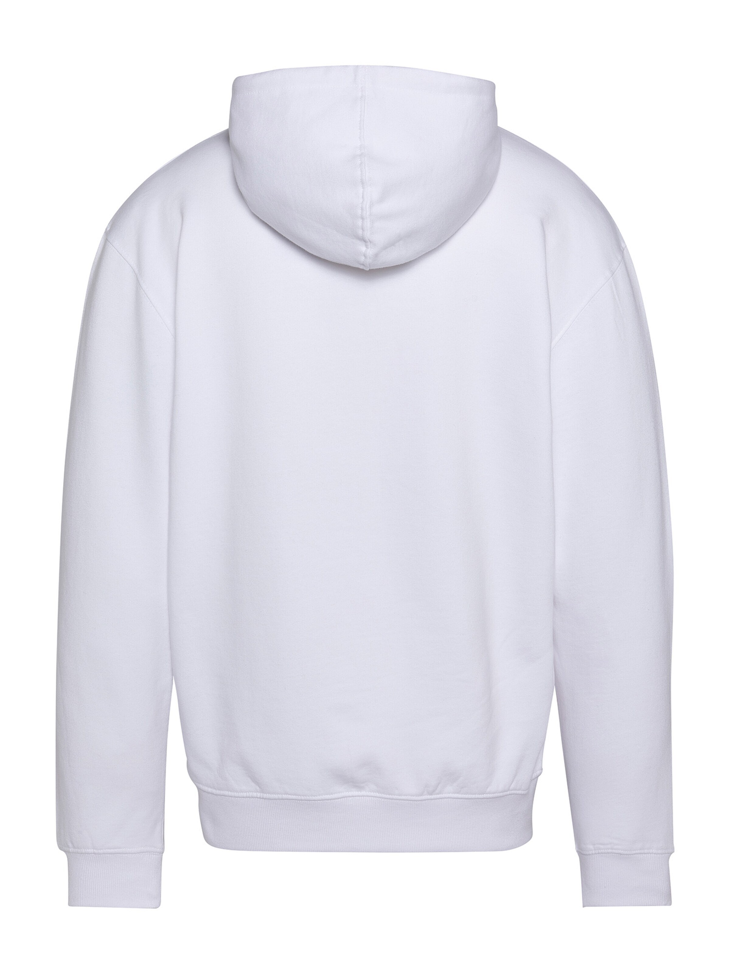 Schott NYC Sweatshirt in White