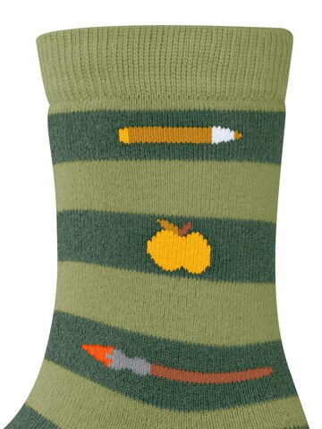 FALKE Socks 'School Supplies' in Green