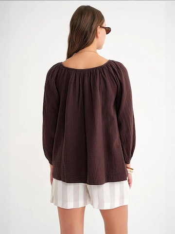 MixRay Bluza | rjava barva