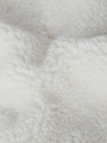 THE NORTH FACE Fleece Jacket 'Zip Extreme Pile 2' in Beige