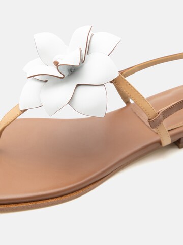 MICHAEL Michael Kors Klipklappere 'JACIE' i brun