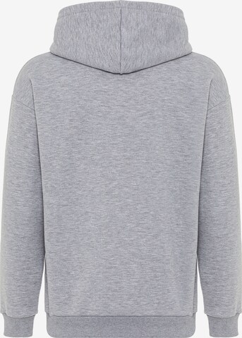 Redbridge Kapuzensweatshirt in Grau