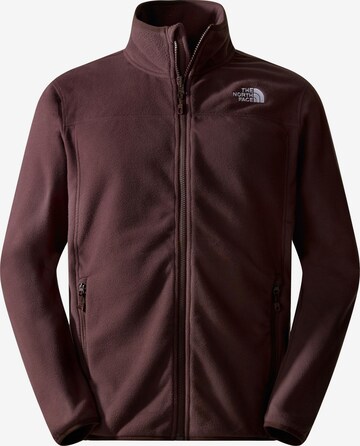 THE NORTH FACE Athletic Fleece Jacket '100 GLACIER' in Brown: front