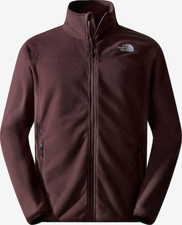 THE NORTH FACE Athletic Fleece Jacket '100 GLACIER' in Brown: front