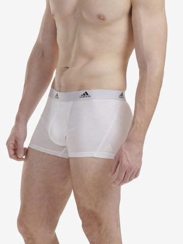 ADIDAS SPORTSWEAR - Calzoncillo deportivo ' Sport Active Flex Cotton ' en blanco