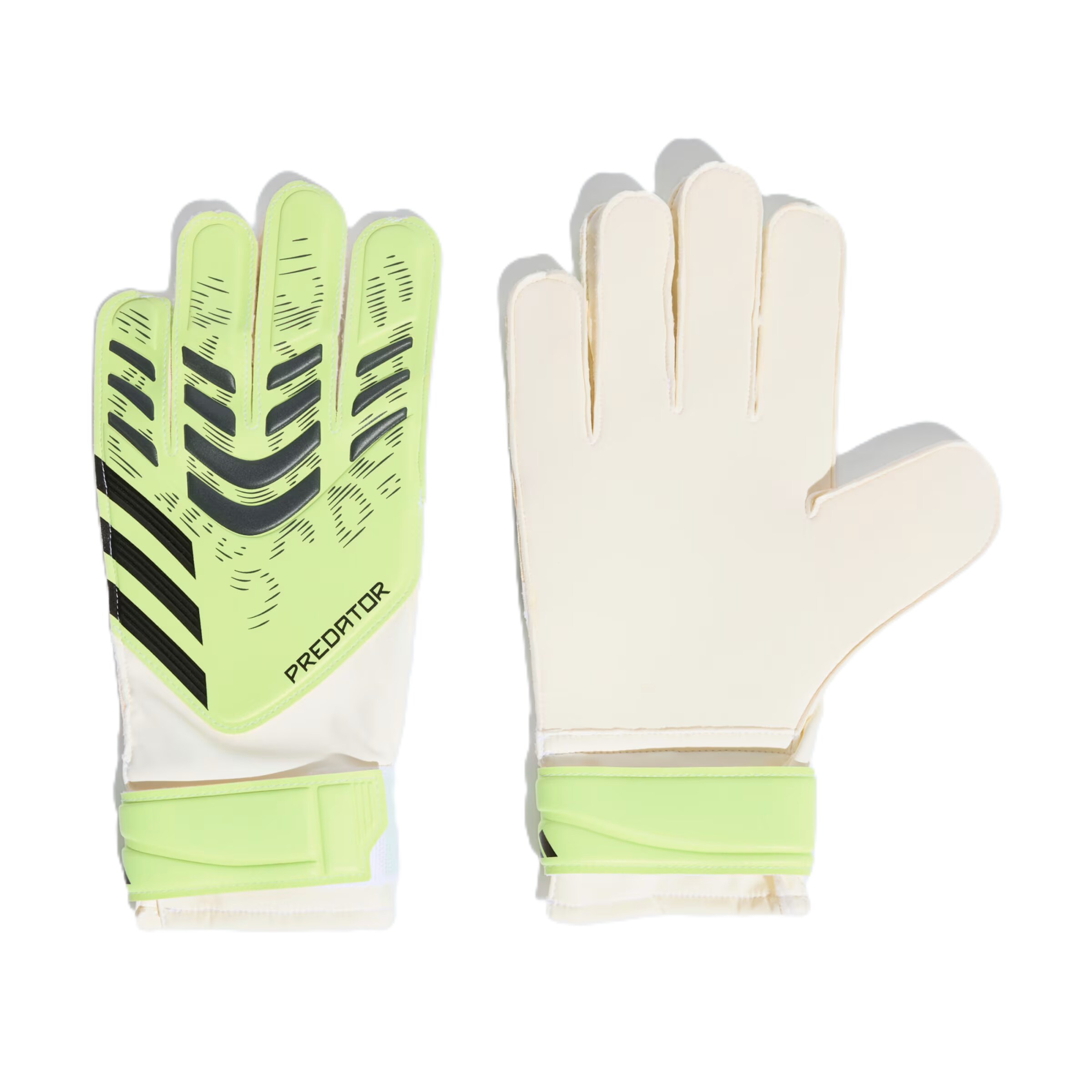 ADIDAS PERFORMANCE - Luvas de desporto 'Predator' em verde: frente